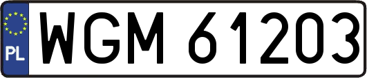 WGM61203