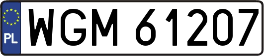 WGM61207