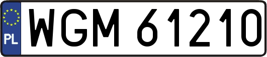 WGM61210