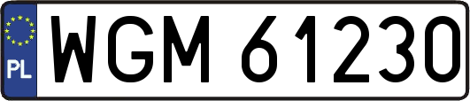 WGM61230