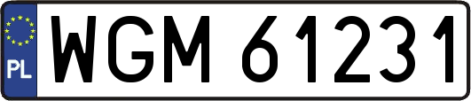WGM61231