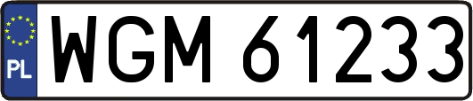 WGM61233