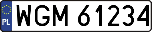 WGM61234