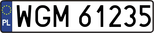 WGM61235