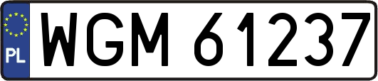 WGM61237