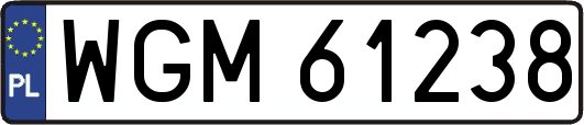 WGM61238