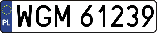 WGM61239