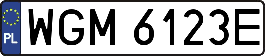 WGM6123E
