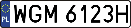 WGM6123H