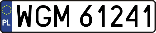 WGM61241