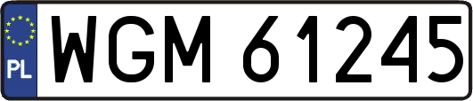 WGM61245