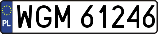 WGM61246