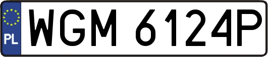 WGM6124P