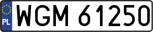 WGM61250