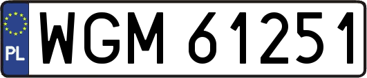 WGM61251