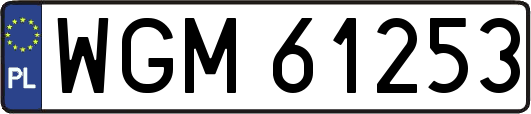 WGM61253