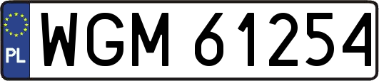WGM61254