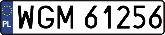 WGM61256