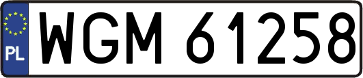 WGM61258