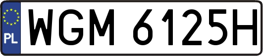 WGM6125H