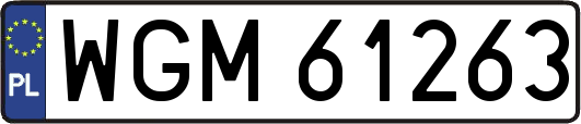 WGM61263