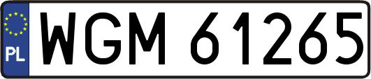 WGM61265