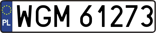 WGM61273