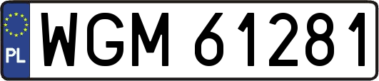 WGM61281