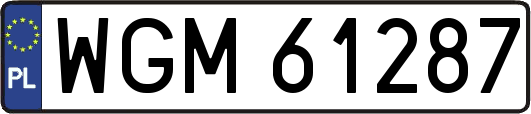 WGM61287