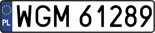 WGM61289