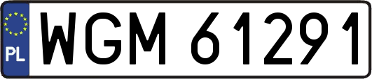 WGM61291