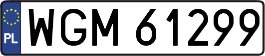 WGM61299
