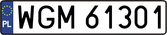 WGM61301
