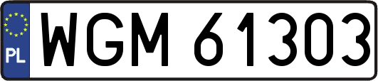 WGM61303