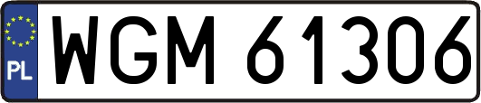WGM61306