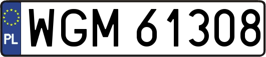 WGM61308