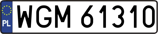 WGM61310