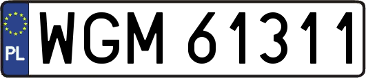 WGM61311