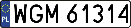 WGM61314