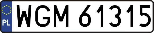WGM61315