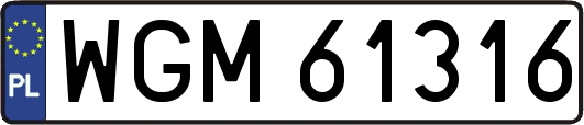 WGM61316
