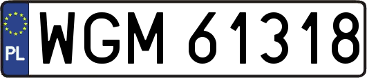 WGM61318