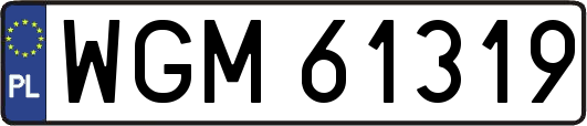 WGM61319