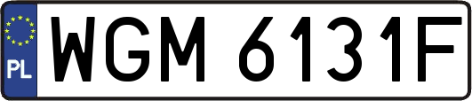 WGM6131F