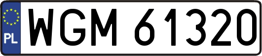 WGM61320