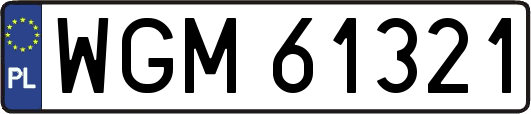 WGM61321