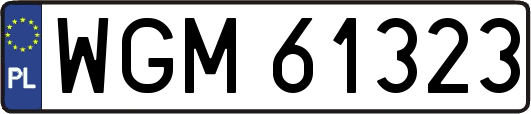 WGM61323