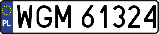 WGM61324