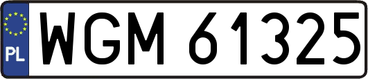WGM61325