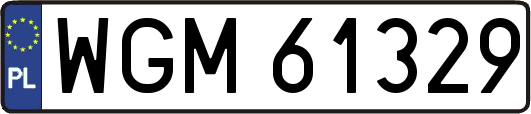 WGM61329